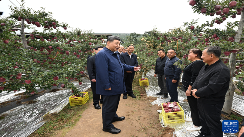 习近平在甘肃考察时强调
深化改革勇于创新苦干实干富民兴陇 奋力谱写中国式现代化甘肃篇章